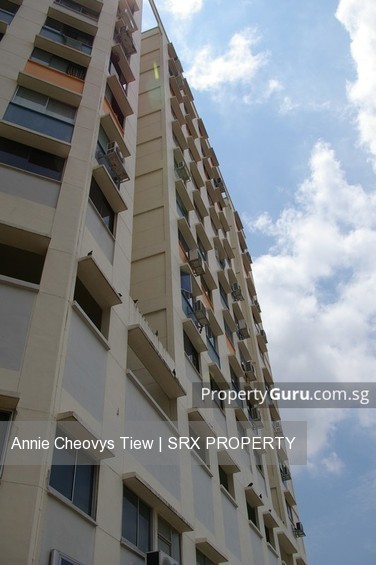 Blk 668 Chander Road (Central Area), HDB 4 Rooms #180671092